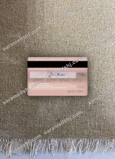 USA Missouri Together Credit Union bank AMEX rose gold card photolook back